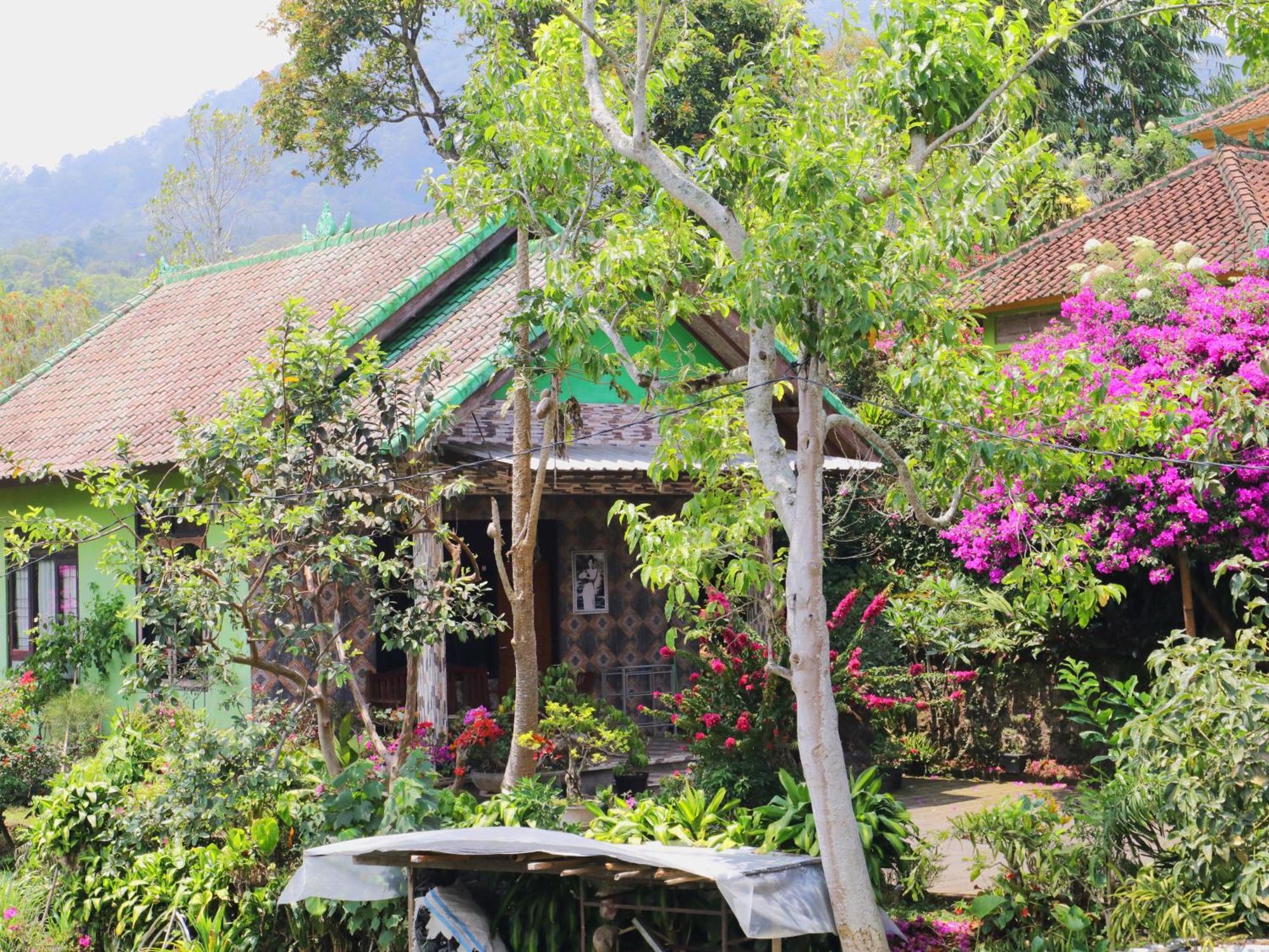 בדוגול Dajan Buyan Homestay מראה חיצוני תמונה